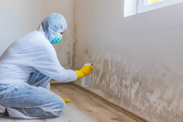 Mold inspector in Ridgewood performing thermal imaging